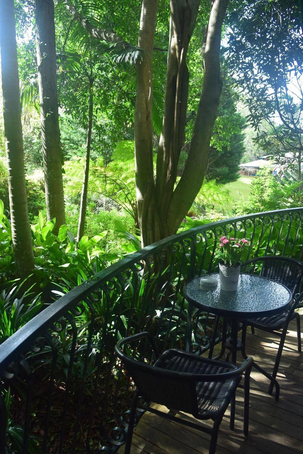 Chalet On Gallery Walk - King Bed, Spa, Fireplace, Wifi & Netflix, Linger A While Mount Tamborine Buitenkant foto