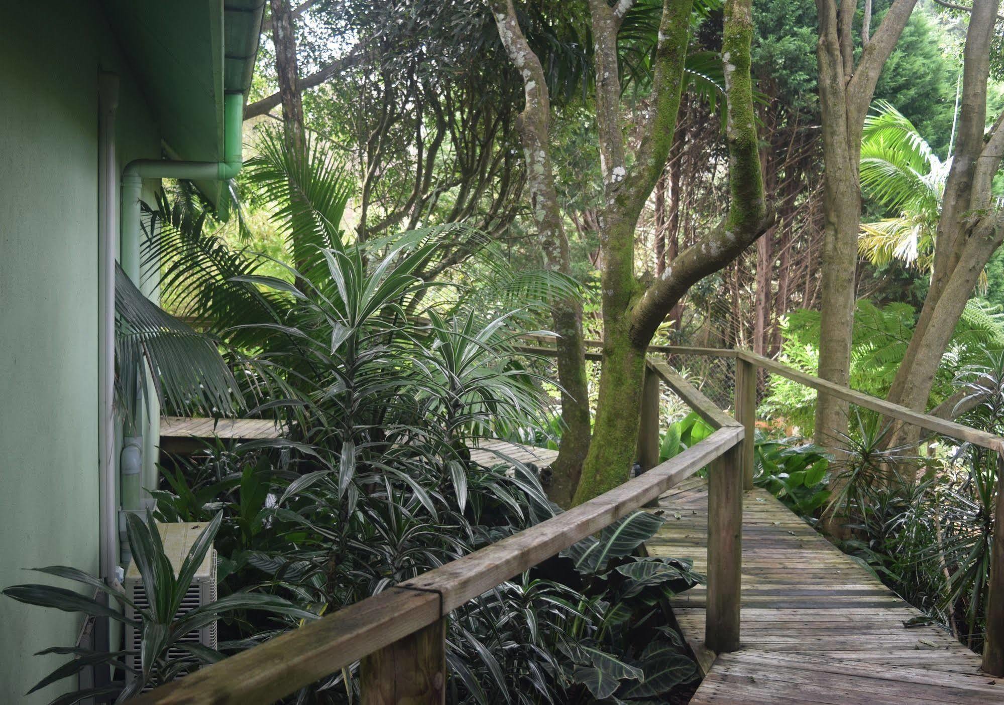 Chalet On Gallery Walk - King Bed, Spa, Fireplace, Wifi & Netflix, Linger A While Mount Tamborine Buitenkant foto
